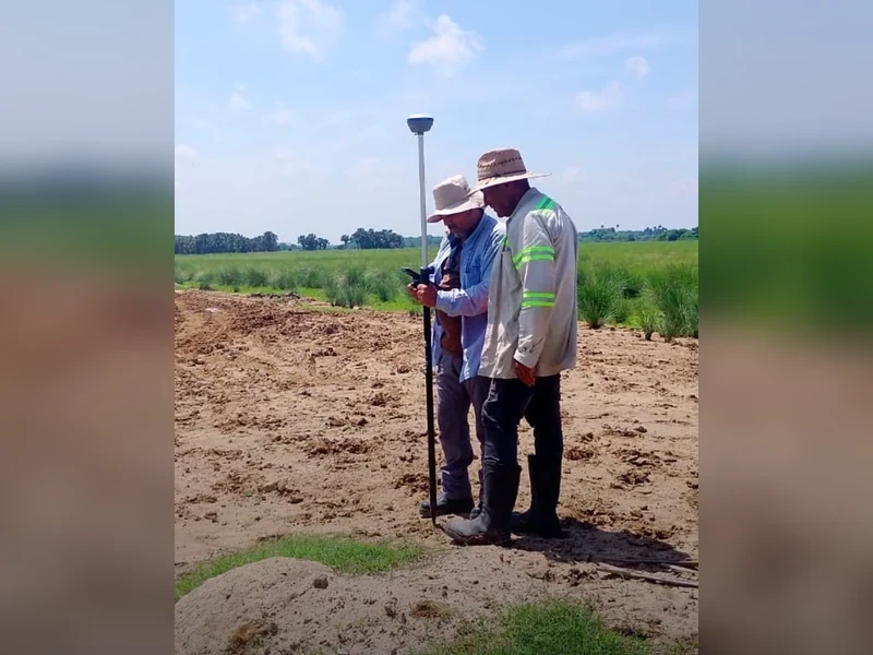 Asesoría técnica en campo